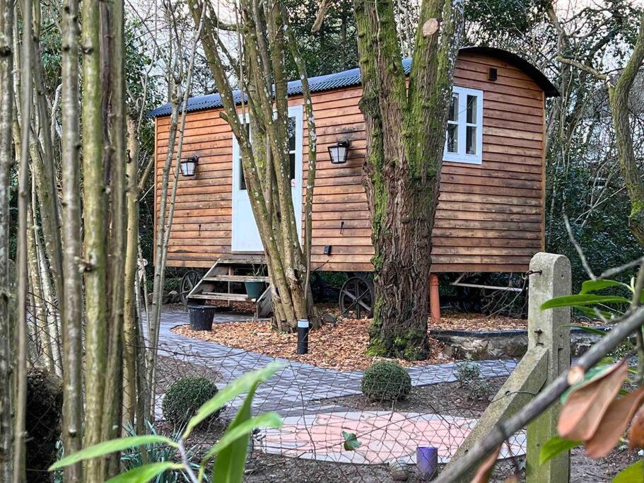 Tranquil Spot Shepherds Hut Cinderford Extérieur photo