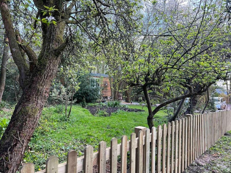 Tranquil Spot Shepherds Hut Cinderford Extérieur photo